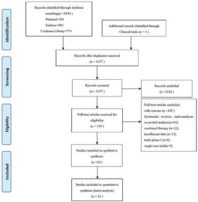 Clinical Efficacy of Immune Checkpoint Inhibitors in Older Non-small-Cell Lung Cancer Patients: A Meta-Analysis